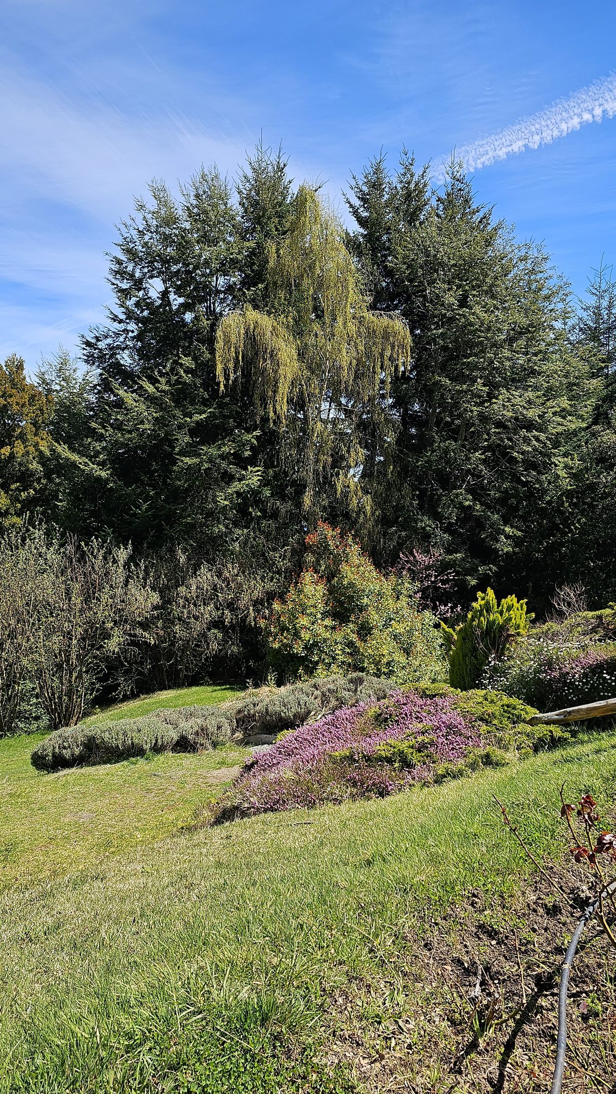 Parque y jardines del hotel